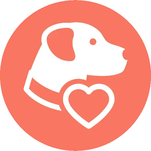 wellness care - Vet Care Dubai