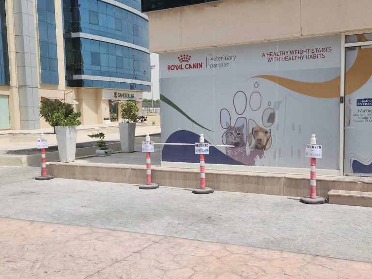 vetcareduabi parking 1 - Vet Care Dubai vetcareduabi parking 1 - Vet Care Dubai