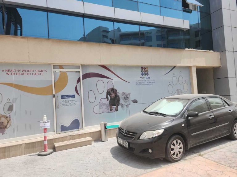 vetcareduabi parking 2 - Vet Care Dubai vetcareduabi parking 2 - Vet Care Dubai