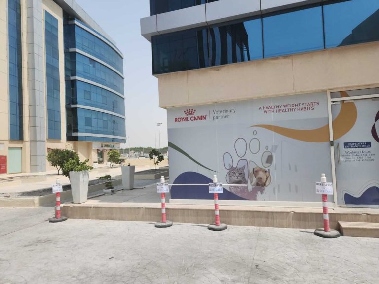 vetcareduabi parking 3 - Vet Care Dubai vetcareduabi parking 3 - Vet Care Dubai