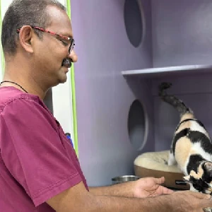 Babu - Vet Care Dubai Babu - Vet Care Dubai
