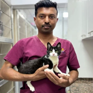 RASHEED ANIMAL HANDLER - Vet Care Dubai RASHEED ANIMAL HANDLER - Vet Care Dubai
