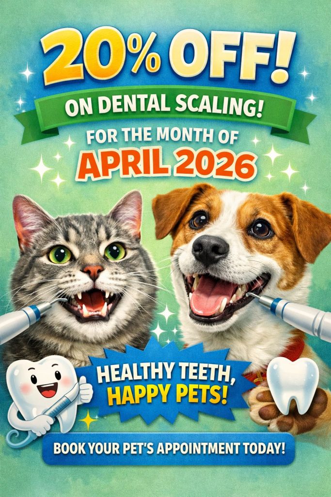 WhatsApp Image 2026 04 02 at 11.20.56 AM - Vet Care Dubai WhatsApp Image 2026 04 02 at 11.20.56 AM - Vet Care Dubai